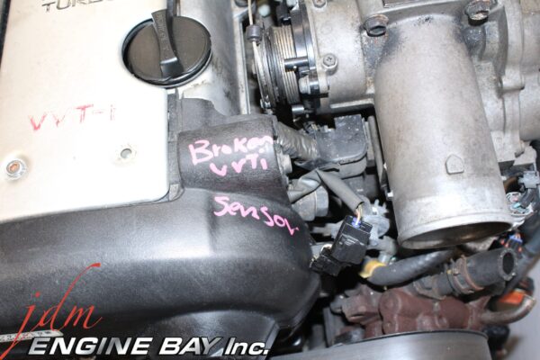 IMG 9826