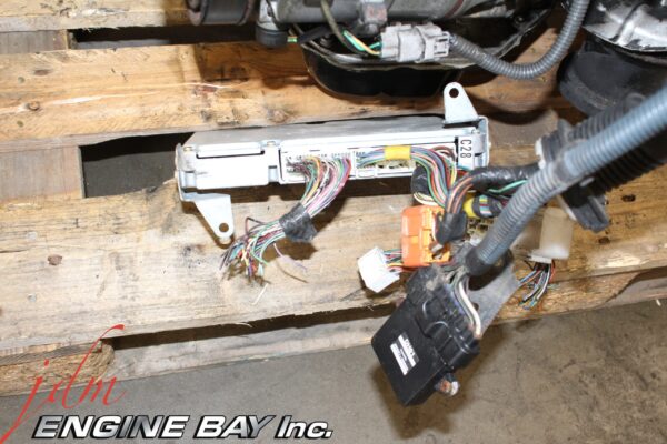 IMG 9827