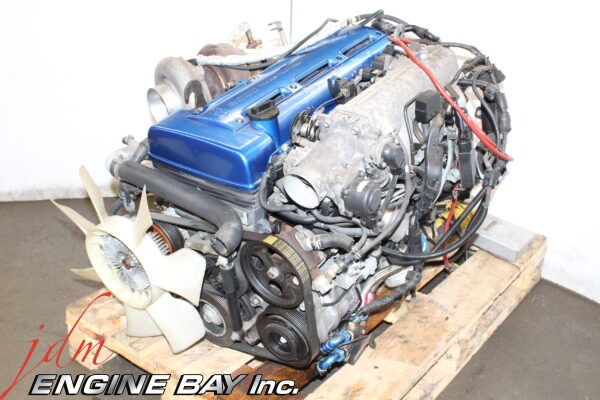 IMG 9852